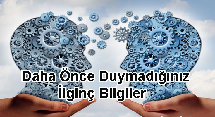 Daha Önce Duymadığınız İlginç Bilgiler