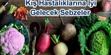 Kış Hastalıklarına İyi Gelecek Sebzeler
