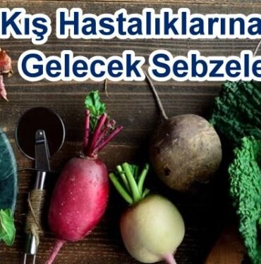 Kış Hastalıklarına İyi Gelecek Sebzeler