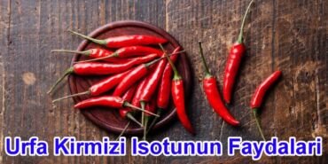 Urfa Kırmızı İsotunun Faydaları