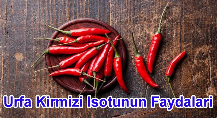 Urfa Kırmızı İsotunun Faydaları