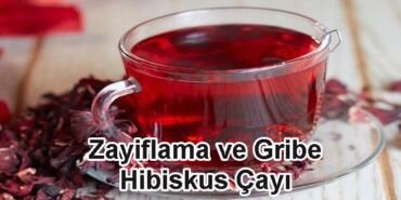 Zayıflama ve Gribe Hibiskus Çayı