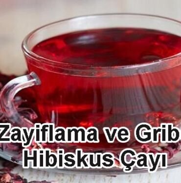 Zayıflama ve Gribe Hibiskus Çayı