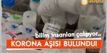 ChAdOx1 nCoV-19 oxford universitesi koronavirus asisi