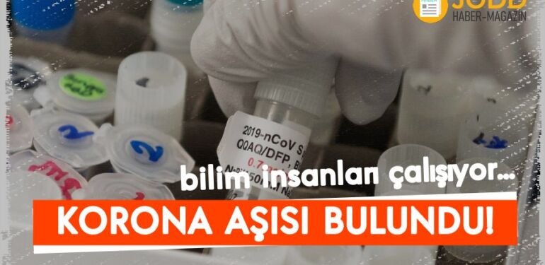 ChAdOx1 nCoV-19 oxford universitesi koronavirus asisi