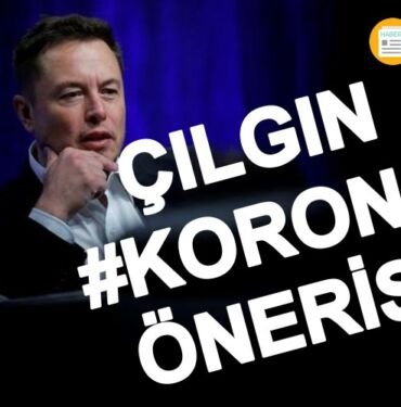 elon musk korona
