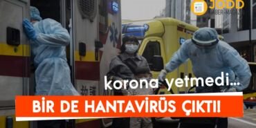 hantavirus nedir