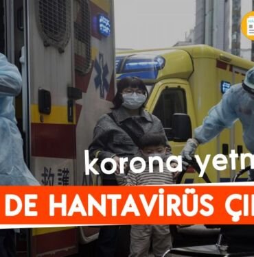 hantavirus nedir