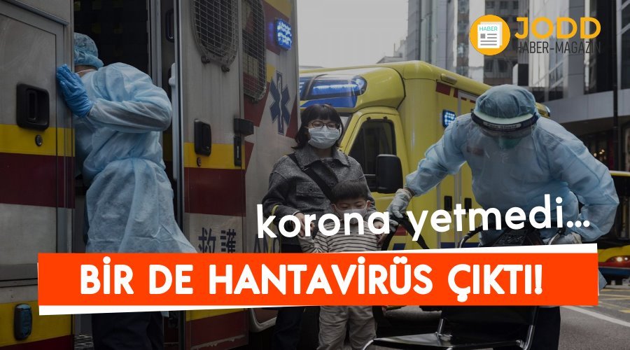 hantavirus nedir