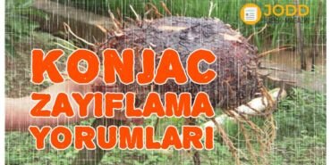 konjac çayı yorumları