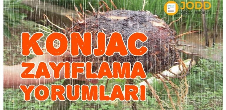 konjac çayı yorumları