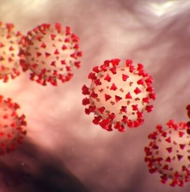 koronavirus ciddiyet