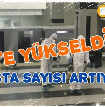 koronavirusu turkiye