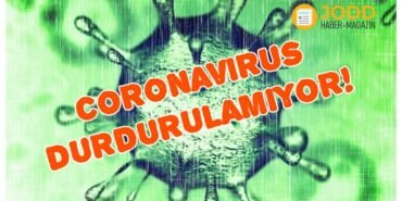 new york coronavirus