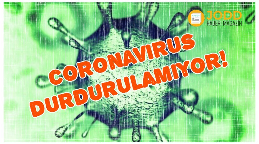 new york coronavirus