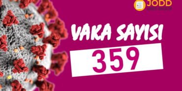 turkiye koronavirus vaka sayisi