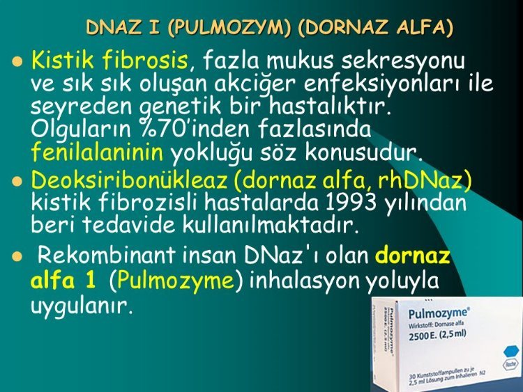 Dornaz alfa işe yarıyor mu?