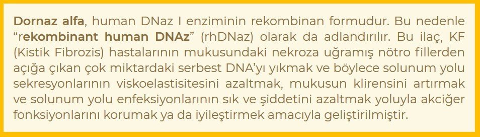 dornaz alfa nedir