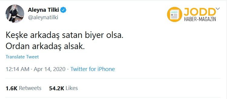 Keşke arkadaş satan bir yer olsa da oradan arkadaş alsak aleyna tilki