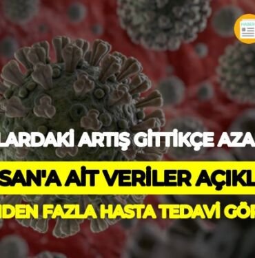 Koronavirüs 29 Nisan 2020 vaka tablosu