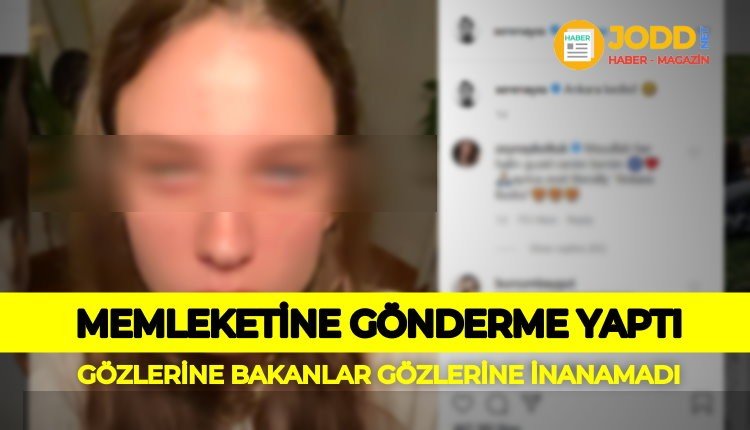 ankara kedisi mi serenay sarıkaya mı?