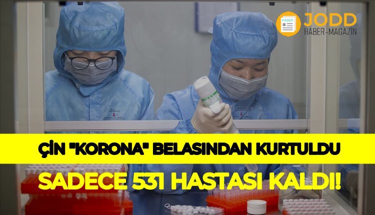 Koronavirüs Çin'de tamamen bitti