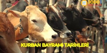Kurban Bayramı 2020 tarihleri hangi gün