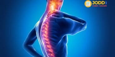 Ankilozan Spondilit nedir