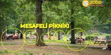 Amerika piknik alanları doldu taştı