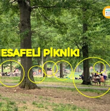 Amerika piknik alanları doldu taştı