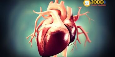 Aort kapak hastalıkları nedir?