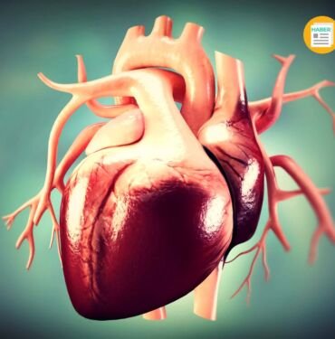Aort kapak hastalıkları nedir?