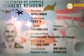 green card ds 260 formu