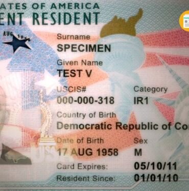 green card ds 260 formu