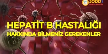 hepatit b hastalığı nedir