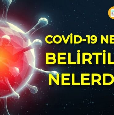 koronavirüs nedir
