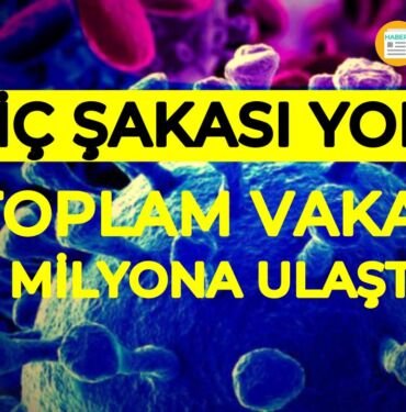 Koronavirüs toplam vaka sayısı 8 milyon oldu
