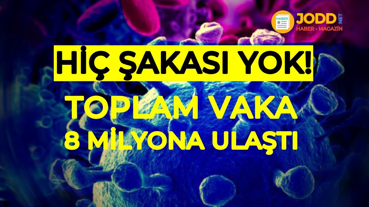 Koronavirüs toplam vaka sayısı 8 milyon oldu