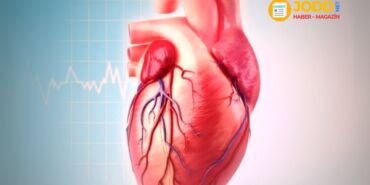 koroner arter hastalığı nedir?