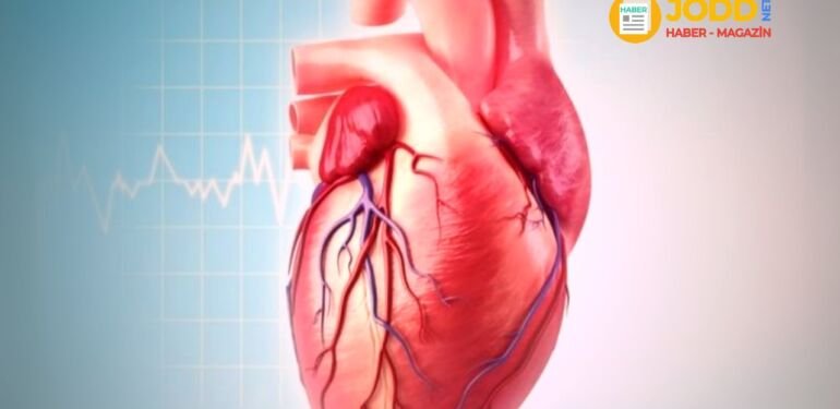 koroner arter hastalığı nedir?