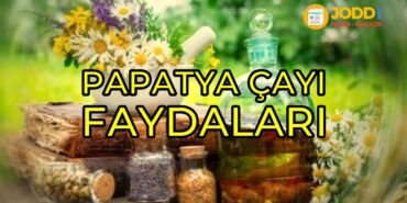 Papatya çayı faydaları nelerdir?