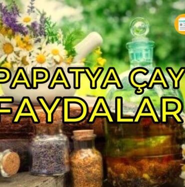 Papatya çayı faydaları nelerdir?