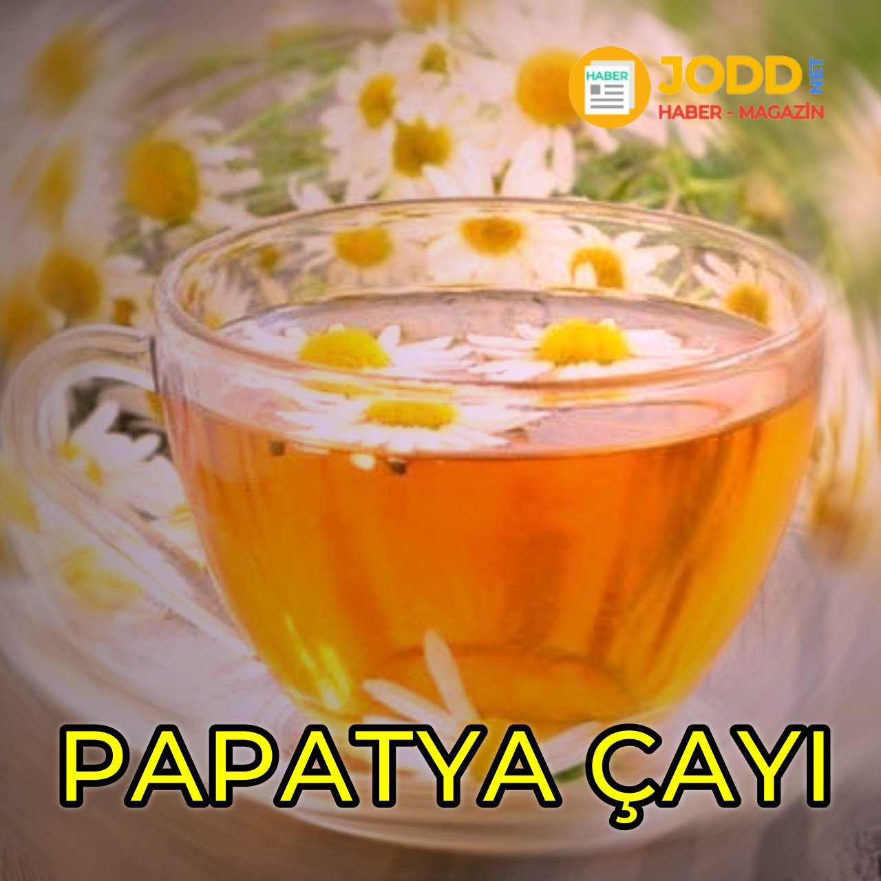 Papatya çayı nasıl demlenir?