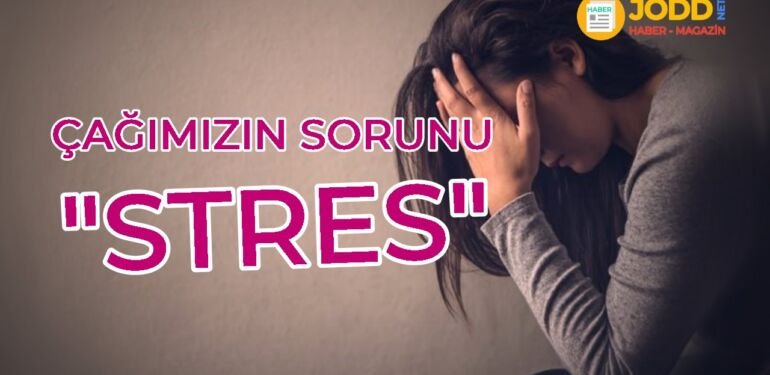 stres nedir
