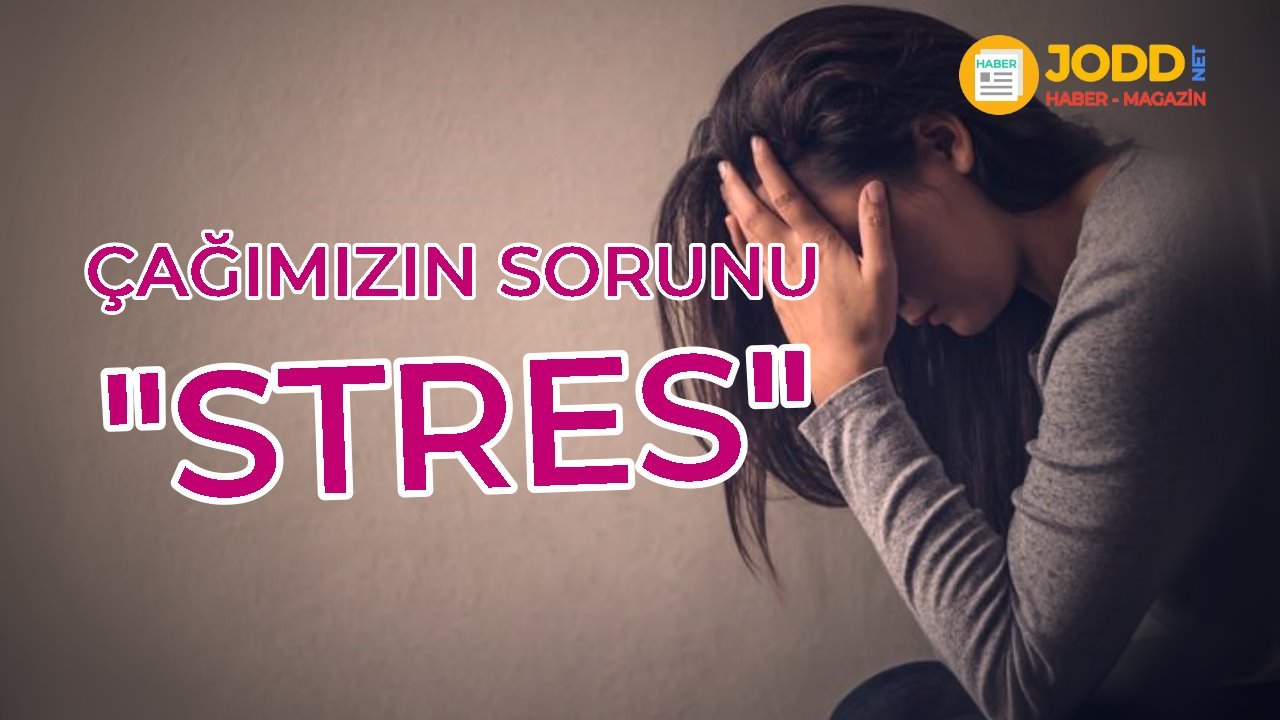 stres nedir