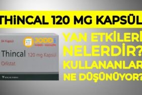 thincal kullananlar 2020