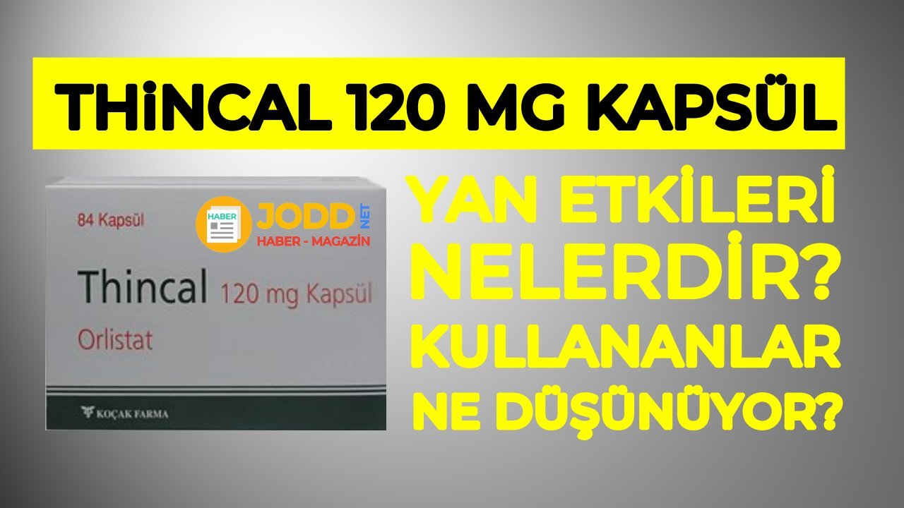 thincal kullananlar 2020