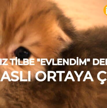 Yıldız Tilbe evlendi mi?
