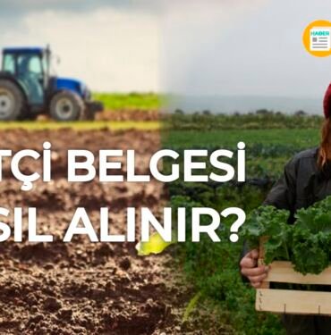 Çiftçi belgesi nedir? Çiftlik belgesi nasıl alınır?