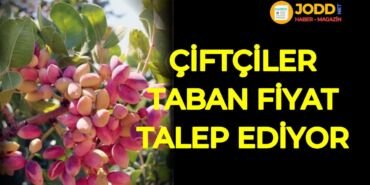 Çiftçiler antep boz fıstık taban fiyat düzenlemesi